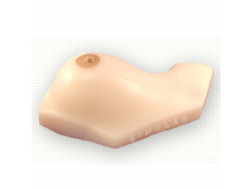 BPM-30 - Model pro ultrazvukov vyeten prsu